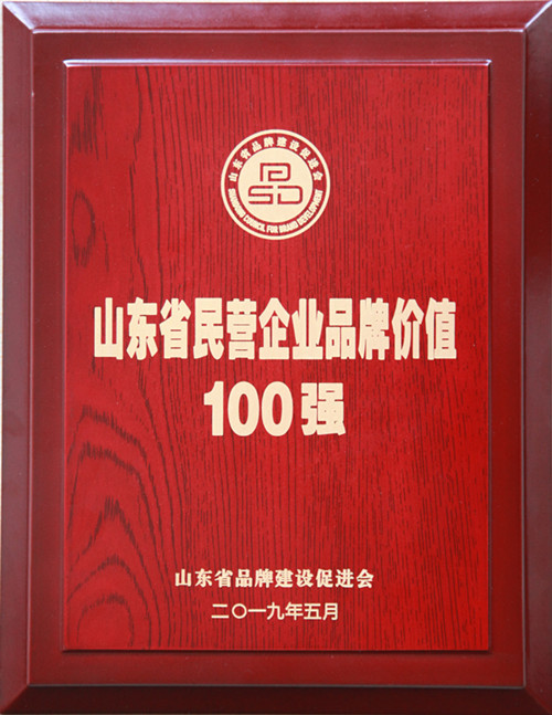 2019.05山东省民营企业品牌价值100强_副本.jpg