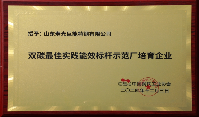 双碳最佳实践能效标杆示范厂培育企业